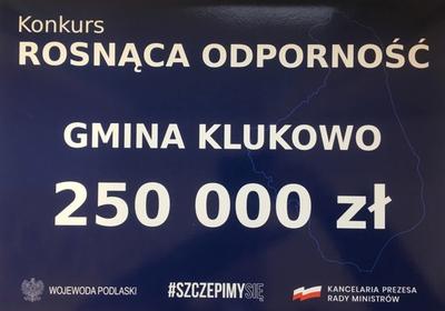 250 000 zł w ramach konkursu Rosnąca Odporność